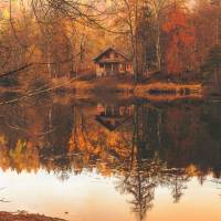 fall woods scene with a lake and cottage
