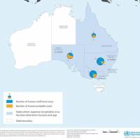 map of JE infections in Australia