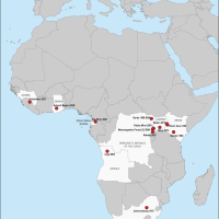 Marburg outbreaks Africa 2023