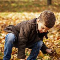 young boy playing in fallen leaves