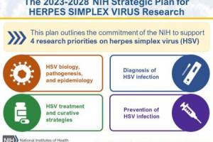Herpes vaccine 2023