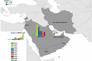 MERS cases related to camels