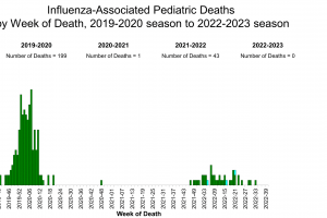 Pediatric influenza fatalities