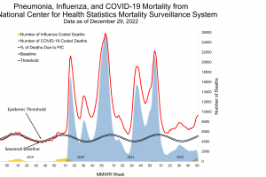 Pneumonia influenza fatalities 