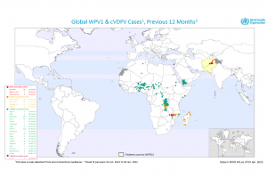 Polio confirmations worldwide