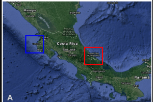 Viruses in Costa Rica 2023