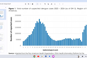Dengue fever 2024