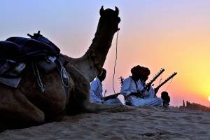 camel with theowners in the dessert at nightfall