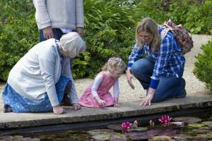 grandparents with grandaughter looking at a pond