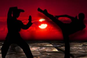 martial arts, 1 2 kick fight