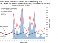 Pneumonia influenza fatalities 
