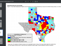 Texas flu virus map 2024
