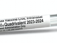 Nasal flu shot 2023