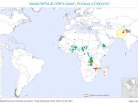 Polio virus outbreaks 2023